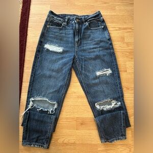 American Eagle Mom Jeans